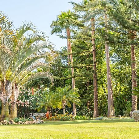 The Grand Oasis Estepona Marbella Kültér fotó
